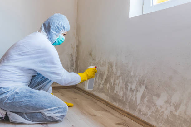 Licensed Crawl Space Mold Remediation service in Princeton Junction, NJ - 24 Hour Mold Removal