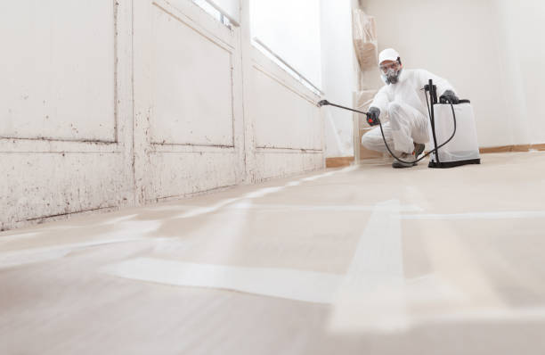 24/7 Emergency Crawl Space Mold Remediation experts in Princeton Junction, NJ