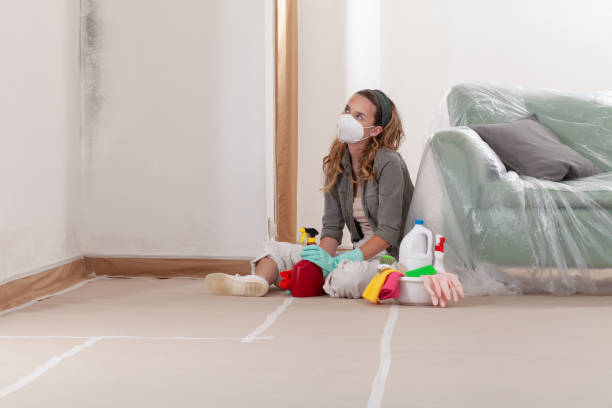 Reliable Crawl Space Mold Remediation contractor in Princeton Junction, NJ by 24 Hour Mold Removal